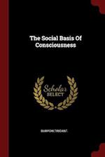 The Social Basis of Consciousness