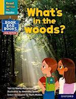 Read Write Inc. Phonics: What's in the woods? (Yellow Set 5 NF Book Bag Book 10)