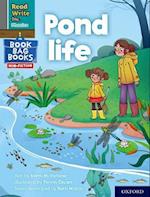 Read Write Inc. Phonics: Pond life (Grey Set 7 NF Book Bag Book 7)