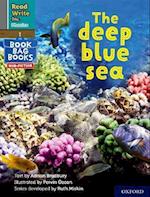 Read Write Inc. Phonics: Grey Set 7 NF Book Bag Book 8 The deep blue sea