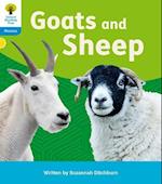 Oxford Reading Tree: Floppy's Phonics Decoding Practice: Oxford Level 3: Goats and Sheep