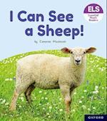 Essential Letters and Sounds: Essential Phonic Readers: Oxford Reading Level 3: I Can See a Sheep!