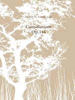 Consolations Op.116