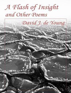 Flash of Insight and Other Poems