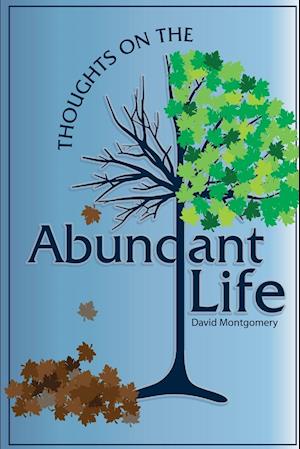 Thoughts on the Abundant Life