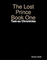 The Lost Prince Book One: Tset-su Chronicles