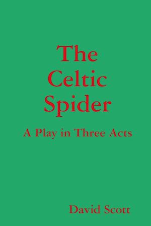 The Celtic Spider