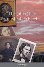 The (after) Life of Stephen Fleet