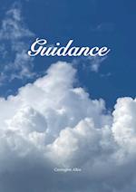 Guidance 