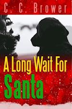 Long Wait for Santa