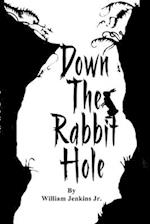 Down The Rabbit Hole: To enter into a situation or begin a process or journey 