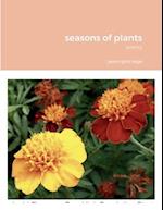 seasons of plants 