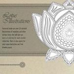 Lotus Illustrations 