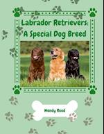 Labrador Retrievers