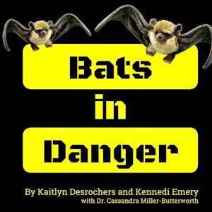 Bats in Danger