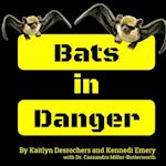 Bats in Danger