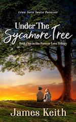 Under the Sycamore Tree