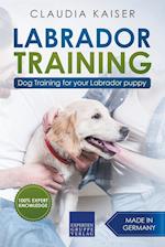 Labrador Training