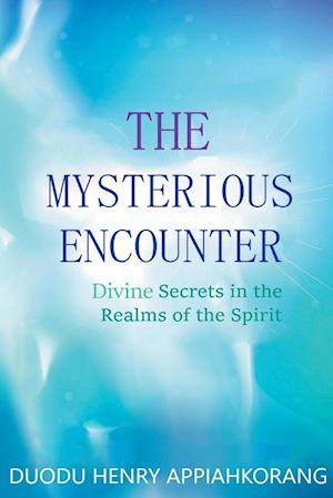 The Mysterious Encounter