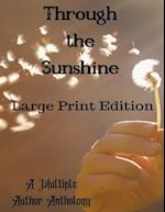 Through the Sunshine Large Print