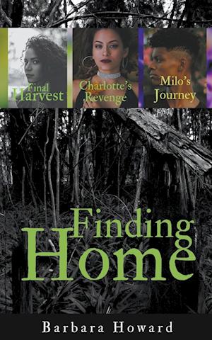 Finding Home Mystery Series