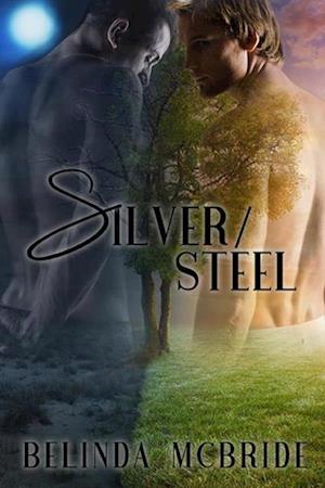 Silver/Steel