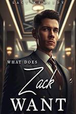 What Does Zack Want: A BWWM Billionaire Marriage of Convenience Romance