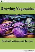 Growing Vegetables: Knolkhol, Lettuce and Zucchini