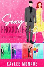 Sexy Encounters #2 (A Set of Four Sexy Novellas)