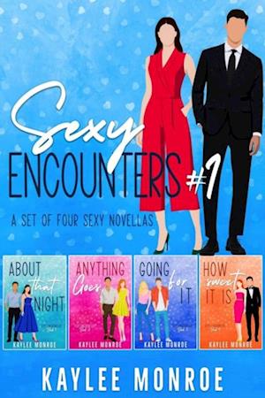 Sexy Encounters #1 (A Set of Four Sexy Novellas)