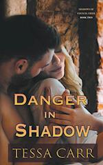 Danger in Shadow 