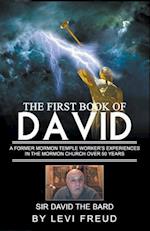 The First Book Of David 