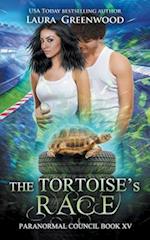 The Tortoise's Race 