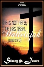 Hallelujah - He is not Here; He Has Risen (Luke 24: 6)