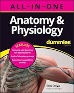 Anatomy & Physiology All–in–One For Dummies (+ Cha pter Quizzes Online)