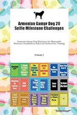 Armenian Gampr Dog 20 Selfie Milestone Challenges Armenian Gampr Dog Milestones for Memorable Moments, Socialization, Indoor & Outdoor Fun, Training Volume 3