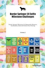 Border Springer 20 Selfie Milestone Challenges Border Springer Milestones for Memorable Moments, Socialization, Indoor & Outdoor Fun, Training Volume 3