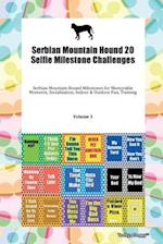 Serbian Mountain Hound 20 Selfie Milestone Challenges Serbian Mountain Hound Milestones for Memorable Moments, Socialization, Indoor & Outdoor Fun, Training Volume 3