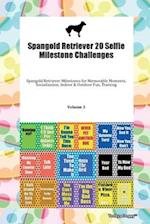 Spangold Retriever 20 Selfie Milestone Challenges Spangold Retriever Milestones for Memorable Moments, Socialization, Indoor & Outdoor Fun, Training Volume 3