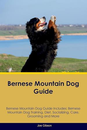 Bernese Mountain Dog Guide  Bernese Mountain Dog Guide Includes