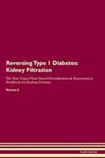Reversing Type 1 Diabetes: Kidney Filtration The Raw Vegan Plant-Based Detoxification & Regeneration Workbook for Healing Patients. Volume 5 