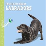 Fast Facts About Labradors