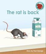 rat is back