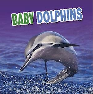 Baby Dolphins