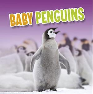 Baby Penguins