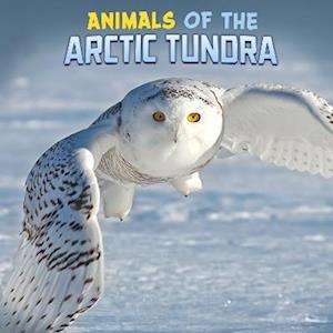 Animals of the Arctic Tundra