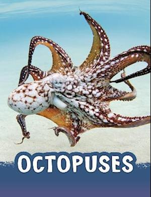 Octopuses