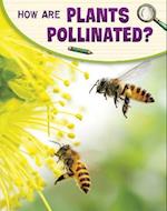 How Are Plants Pollinated?
