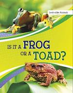 Is It a Frog or a Toad?