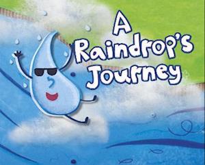 A Raindrop's Journey